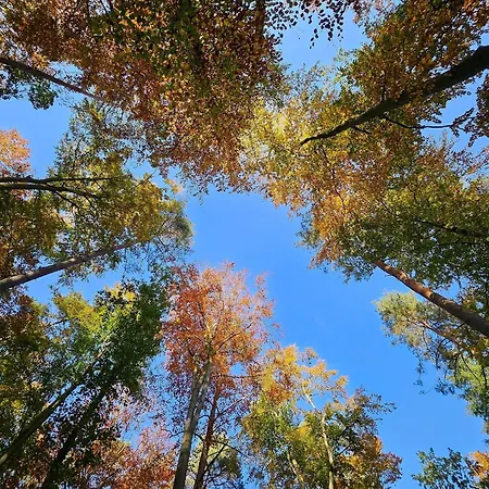Ferienhaus-sternchen-2-am-schwarzer-see * Schwarz (Mecklenburgische Seenplatte)